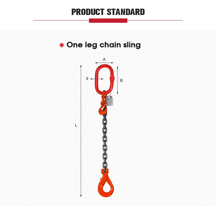 Top Quality Hanging Chain Lifting Sling Hook