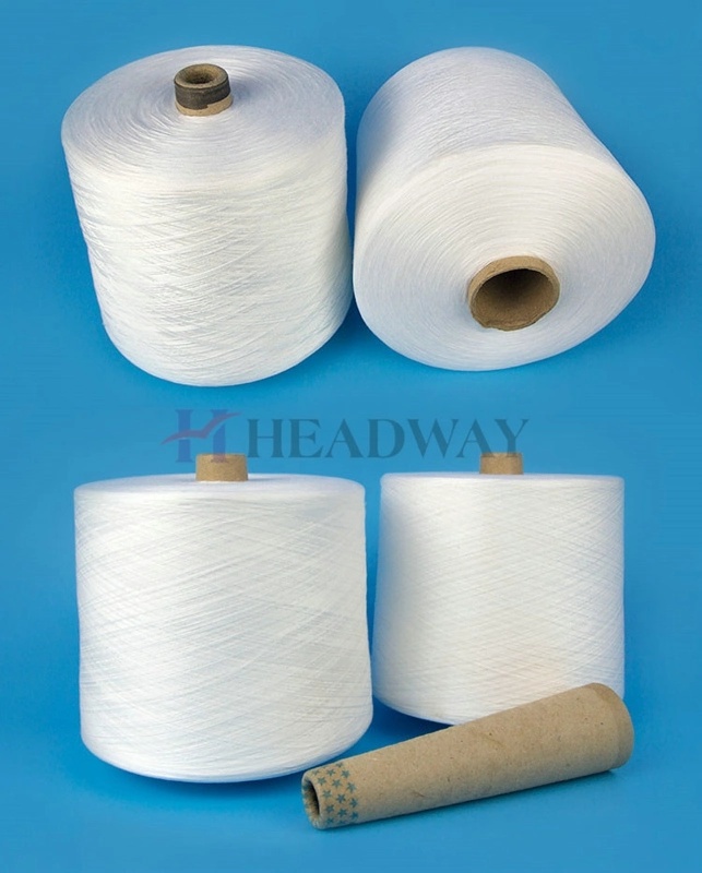 AAA Garde Bright Poly Poly Core Decron Polyester Yarn