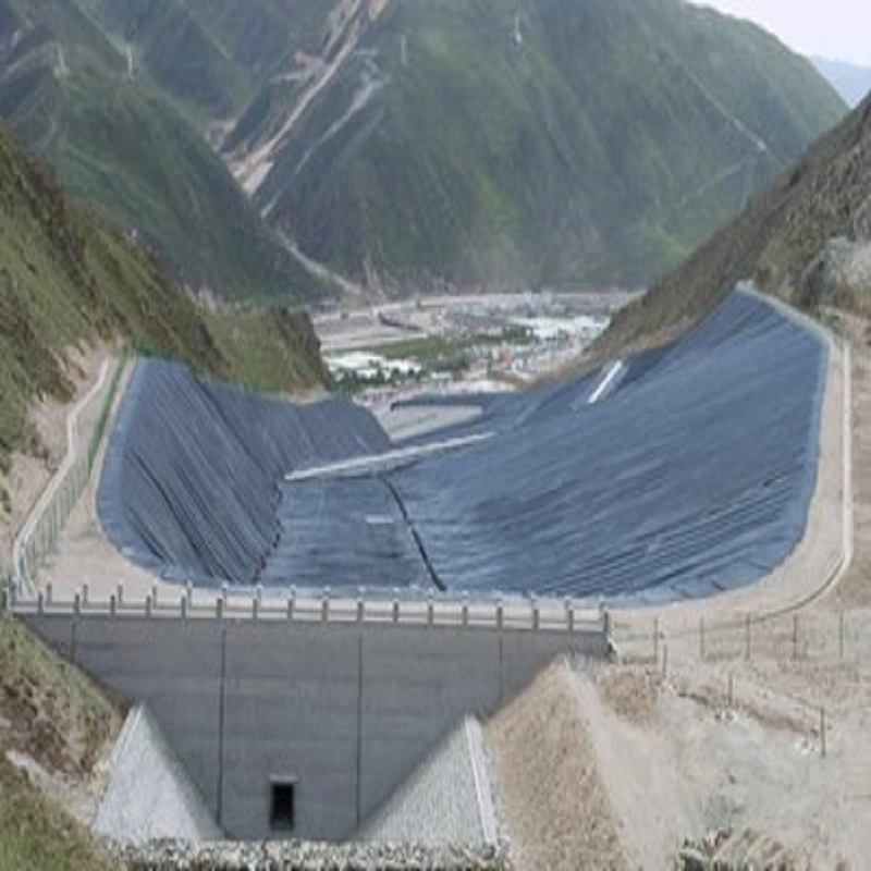 Shandong Origin Tri-Dimensional Geosynthetics for Landfill Road