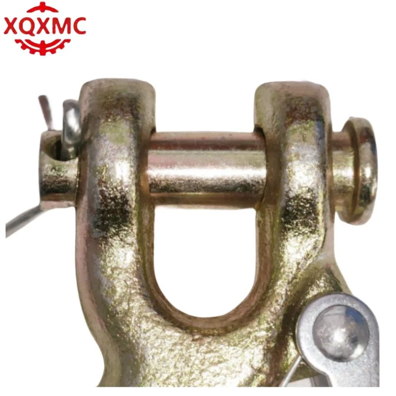 Factory Price G70 Forged Clevis Slip Hook with Latch for Trailer Chain