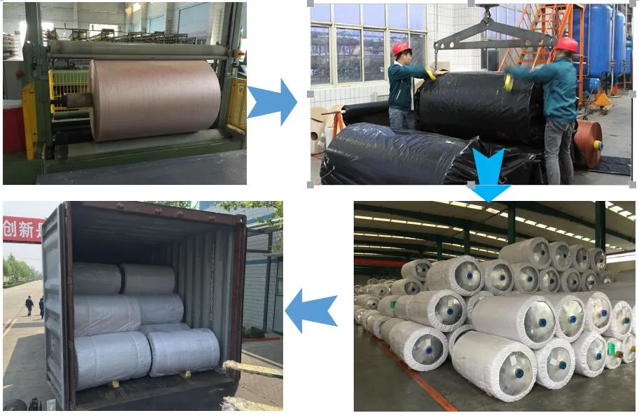 Chinlon CPL Material N6/Nylon6 Industrial Textile/PA6/Polyamide Fiber Dipped Tire Cord Fabric