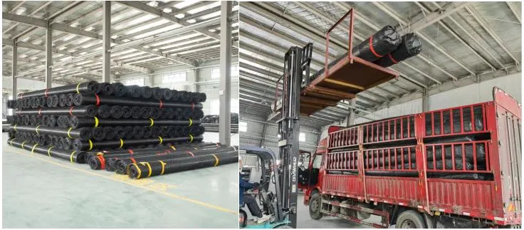 Polyester Plastic Single Double Three Directional Geogrid for Road Reinforcement