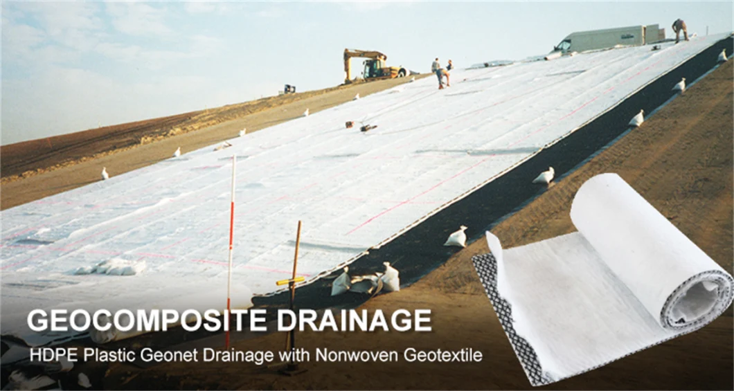 Reinforced Plastic Geocomposite Drainage Mat Geocomposite Geomembrane Geocomposite for Erosion Control Slope Protection