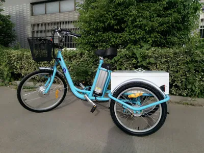 Triciclo elettrico da 36V 250W Elder in vendita