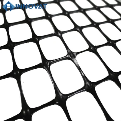 Fibra di vetro geogriglia plastica maglia Factory Prezzo superficie stradale HDPE plastica Mesh rete geogriglia di mantenimento di geogriglia geogriglia del percorso geogriglia della parete Rinforzo