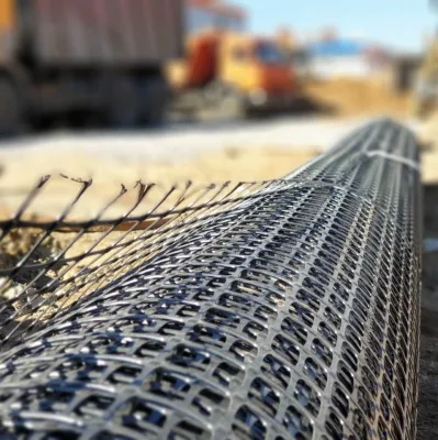 Commercio all&prime;ingrosso PP Geogriglia biassiale in plastica per l&prime;industria di allevamento