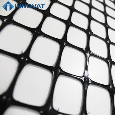 Fibra di vetro geogriglia plastica maglia Factory Prezzo superficie stradale HDPE plastica Mesh rete geogriglia di mantenimento di geogriglia geogriglia del percorso geogriglia della parete Rinforzo