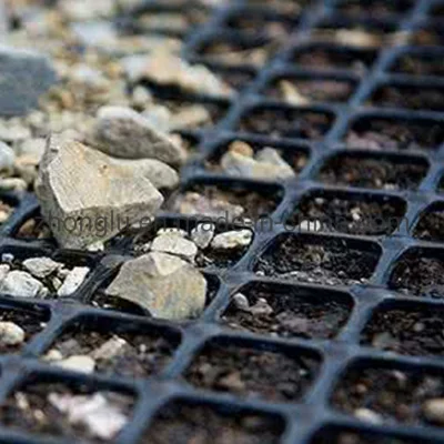  Prezzo di fabbrica biassiale PP/HDPE geogriglia Prezzi