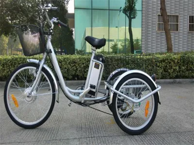 Triciclo elettrico da 36V 250W Elder in vendita