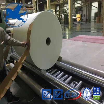 Tessuto superficiale in fibra di vetro S-HM 30GSM larghezza: 1250 mm