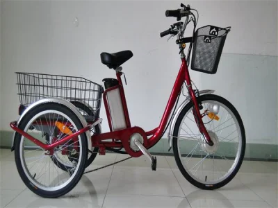 Triciclo elettrico da 36V 250W Elder in vendita