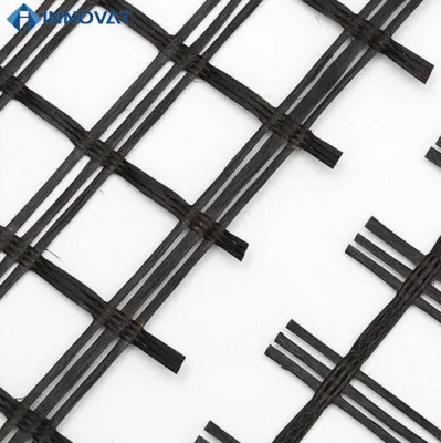 Fibra di vetro geogriglia plastica maglia Factory Prezzo superficie stradale HDPE plastica Mesh rete geogriglia di mantenimento di geogriglia geogriglia del percorso geogriglia della parete Rinforzo