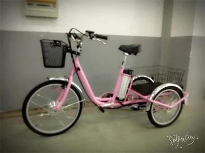 Triciclo elettrico da 36V 250W Elder in vendita