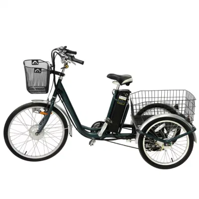 Triciclo elettrico da 36V 250W Elder in vendita