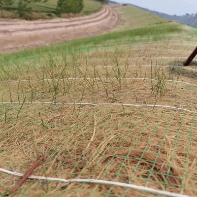 3D Erosion Control Mat for Slope Protection and Grass Stabilization