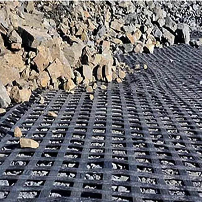Chuangwan Construction Material Polyester Fabric Plastic Geogrid Soil Slope Walls