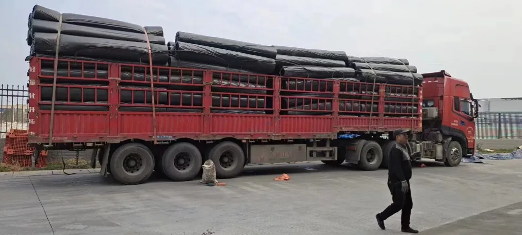 Chuangwan High Quality Fiberglass Geogrid Hot Sell in China