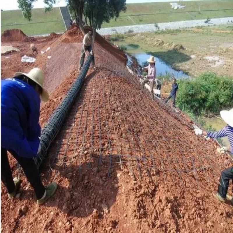 Uniaxial Good Quality Geogrid Fabric for Roadworks