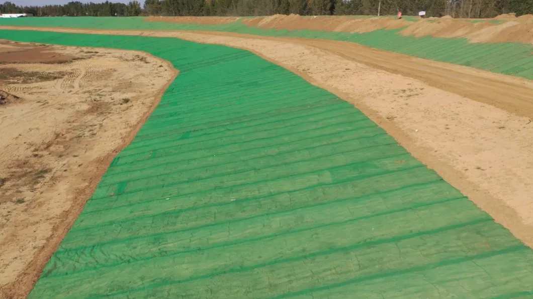Pennmat Erosion Control Drainage 3D Geomat Earthwork Product