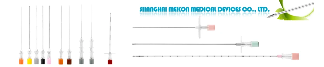 Exact Central Precision Central Line Needle