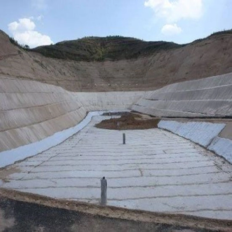 Shandong Origin Tri-Dimensional Geosynthetics for Landfill Road