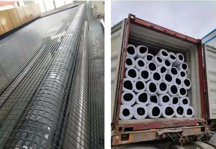 Engineering Glass Fiber Mesh Basalt Reinforcing Fiberglass Geogrid Price