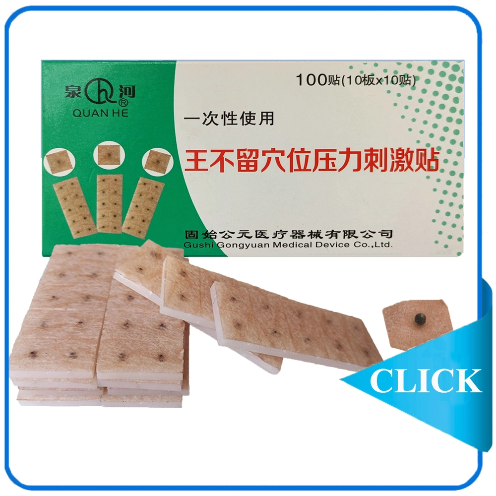 500 PCS Plastic Bag Acupuncture Needle with Guide Tube ISO 13485