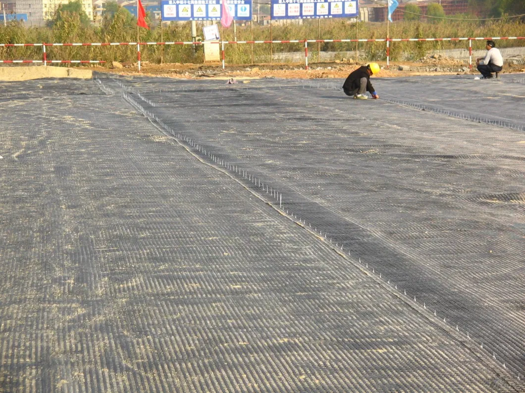 25-200kn/M High Quality Black Polyester Biaxial Pet Geogrid