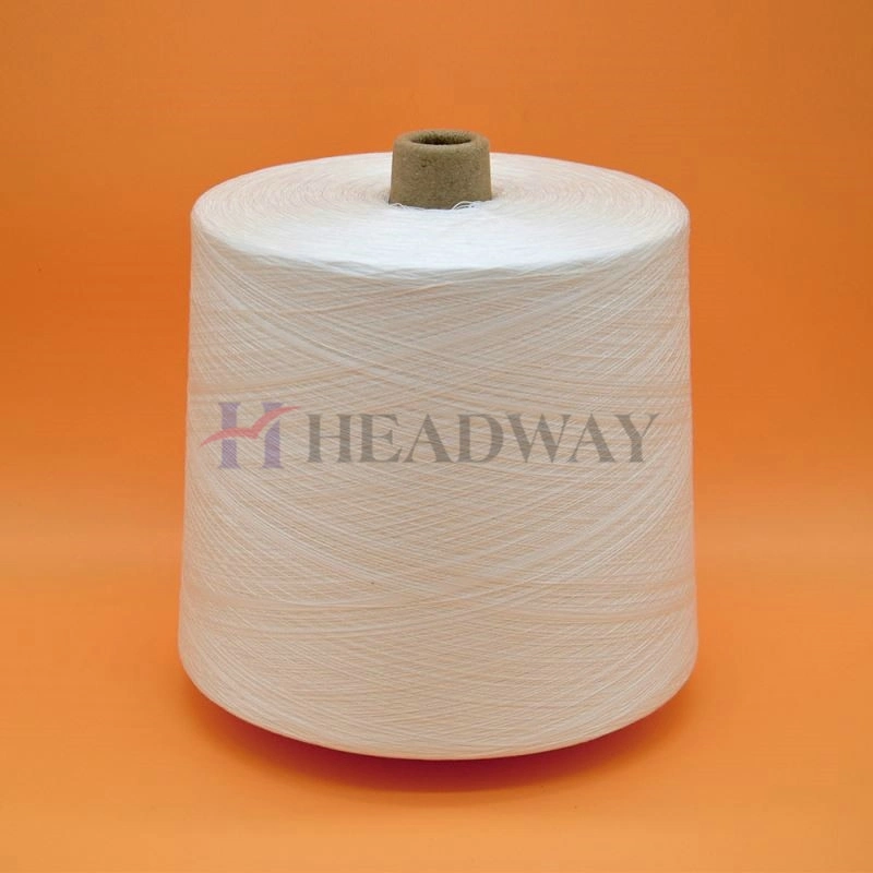 Wholesale 40s/2 100% Polyester Yarn Staple Sewing Thread Manufacturer for Garment Sewing Poly Poly Core