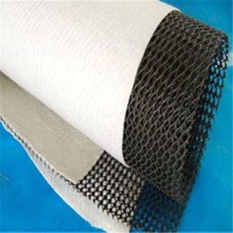 Shandong Origin Tri-Dimensional Geosynthetics for Landfill Road