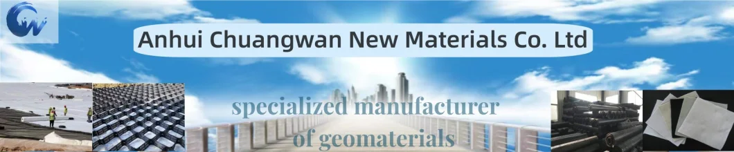 Chuangwan Construction Material Polyester Fabric Plastic Geogrid Soil Slope Walls