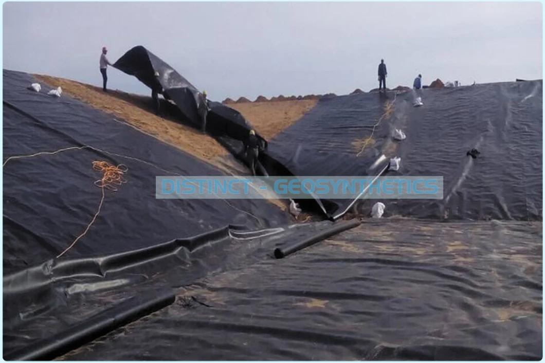 Geocomposite /HDPE Geomembrane Pond Liner/Geogrid Road Construction Material