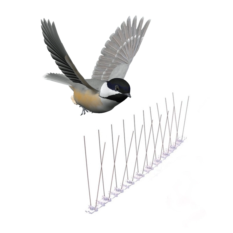 Hot Sale 304 Grade Stainless Steel Pest Control Bird Spiker