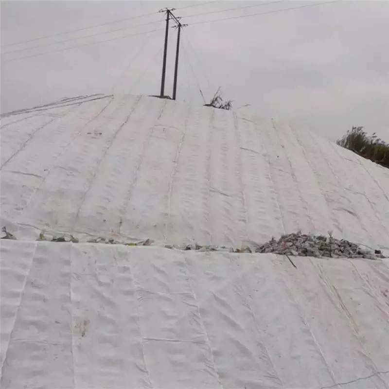 Shandong Origin Tri-Dimensional Geosynthetics for Landfill Road