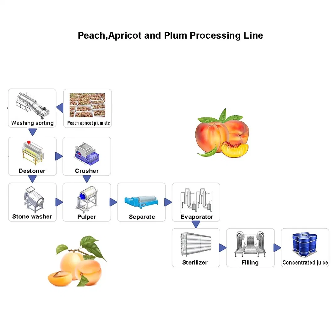 Jam processing machine turn key automatic jam processing equipment