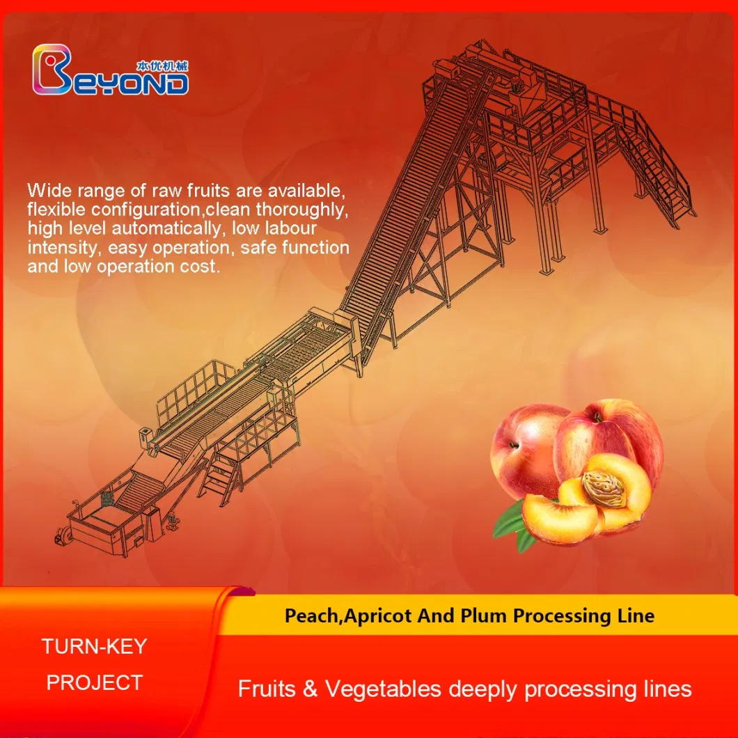 Jam processing machine turn key automatic jam processing equipment