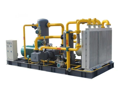 Oil Field Mixed Natural Gas Gathering Boosting Recovery Compressor