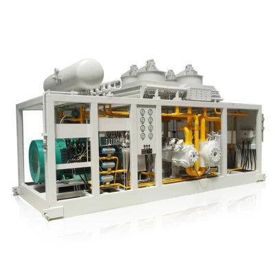 Hot-Selling Skid-Mounted Oil Free Hydrogen Argon Gas Plant CNG Natural Gas Compressor for Sale