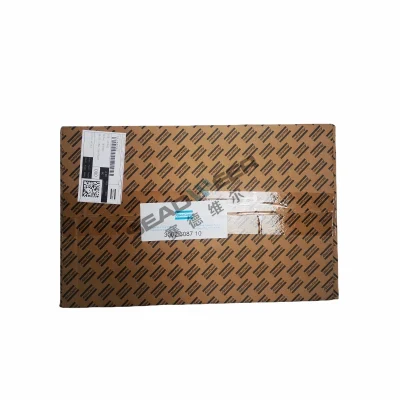 2911011702 2911011703 Atlas Copco Air Compressor Spare Part Oil Gas Separator