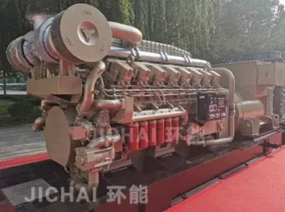  30kw 40kw 50kw Animal Waste Power Plant Station