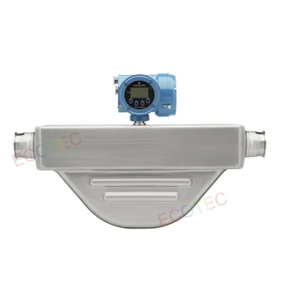  CNG Dispenser Flow Meter with Display for Sale