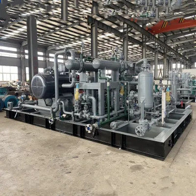 Hot-Selling Skid-Mounted Oil Free Hydrogen Argon Gas Plant CNG Natural Gas Compressor for Sale