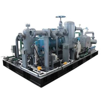 Hot-Selling Skid-Mounted Oil Free Hydrogen Argon Gas Plant CNG Natural Gas Compressor for Sale
