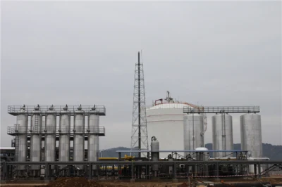  Natural-Gas Purifying &amp; Liquefying Plant