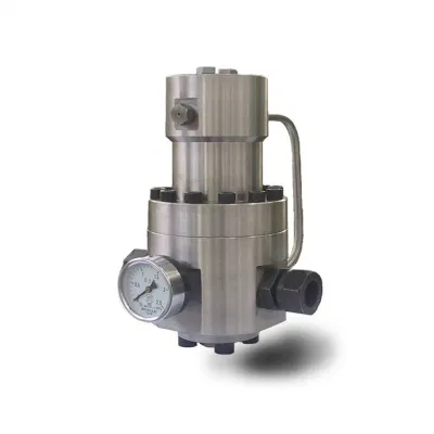  CNG LPG 250 Bar Pressure Reducing Control Valve
