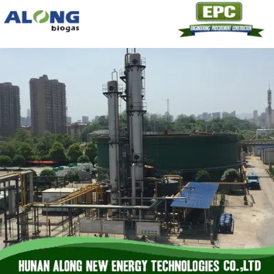  Biogas Chemical Upgrading System to Natural Gas (CNG)