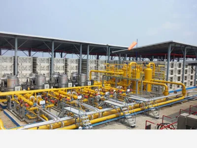  CNG Solution for Power Plant