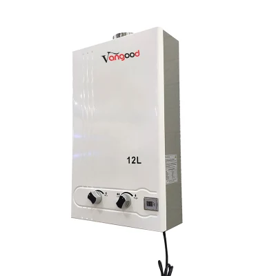 China Manufacturer Best Hot Bath Shower Geysers Gaz Water Heater