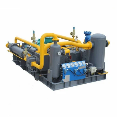  Hot-Selling Skid-Mounted Oil Free Hydrogen Argon Gas Plant CNG Natural Gas Compressor for Sale