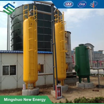  High Quality Fine Desulfurization Equipment for Hydrogen Sulfur Removal